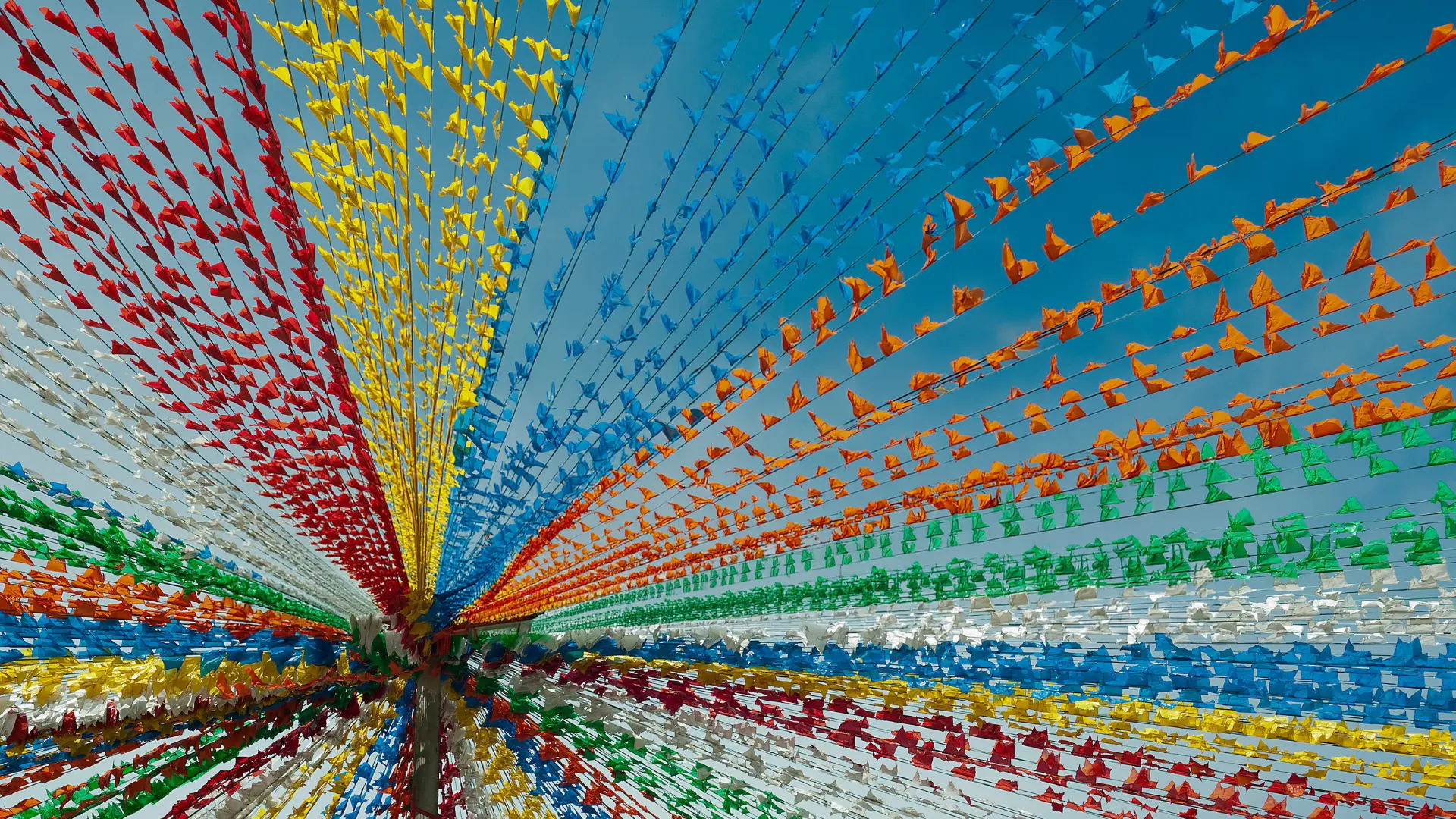 Report São João 2026